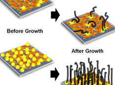 illustration showing how the chemical state of the iron catalyst influences the growth of carbon nan