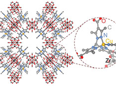 Schematic of the porous metal-organic framework showing the copper binding site (inset) used to isol