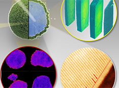 Illustration showing how multimodal x-ray- and electron-based imaging and spectroscopy measurements 