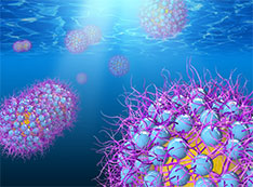 Illustration of oil-in-water emulsion droplets stabilized by polyelectrolyte-grafted nanoparticles (