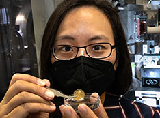 Photo of Esther Tsai lifting a brachiopod shell out of a petri dish filled with water