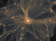 dark matter visualization