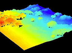 Three-dimensional rendering of surface elevation and structure of an Arctic vegetation canopy from t