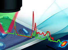 Illustration of optical photothermal infrared (IR) spectroscopy