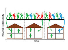 Individual social activity vs. time