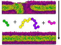 figure shows a blend of block copolymers with homopolymers to achieve control over features in blend