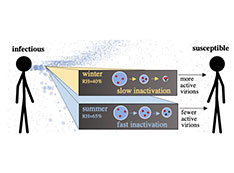 Graphical abstract