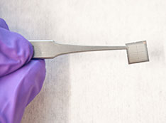 Purple-gloved hand holds forceps holding a square, silver electronic chip
