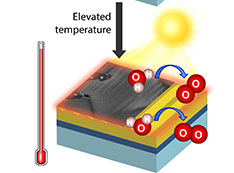 Photoelectrochemical reactions