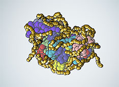 Proteins illustraion