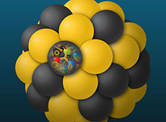 Quarks and gluons inside a nucleus