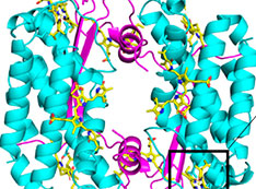 Crystal structure rendering