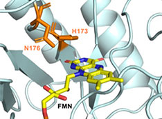 Schematic of crystal structure