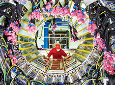 A technician installs cables on the new sPHENIX detector at the Relativistic Heavy Ion Collider (RHI