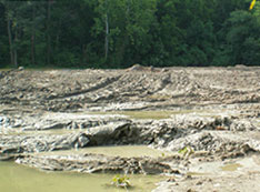 a wide field of mud with puddles throughout