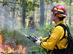 Firefighter wearing a yellow jacket, red hat uses a hose to spray water on a fire
