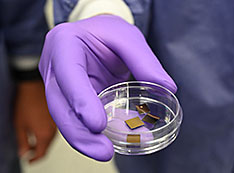 Samples of the transition metal dichalcogenides