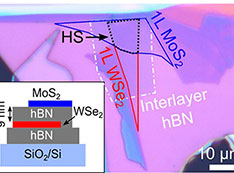 stacked 2D material heterostructure