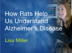 How Rats Help Us Understand Alzheimer's Disease