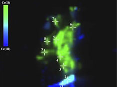 Oxidation state maps