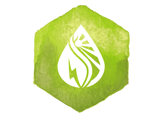 Innovation and the enviroment