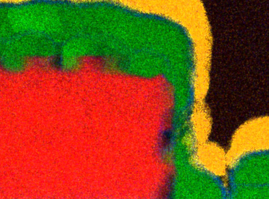 Microscopy image shows there is no oxide between the tantalum (red) and aluminum (green)