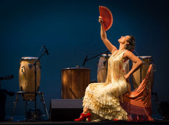 Barbara Martinez of Sol y Sombra Spanish Dance Company performing on a stage