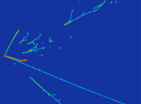 muon neutrino interaction