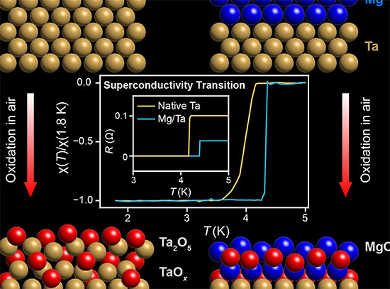 Magnesium capping protects tantalum, a promising superconducting qubit material, from oxidation