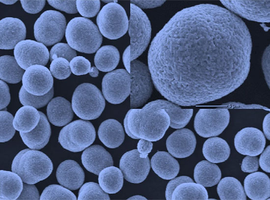 scanning electron microscope image
