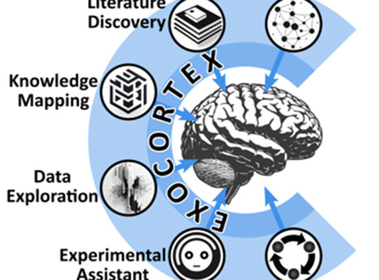 Exocortex