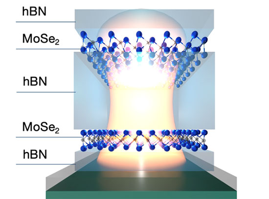 Schematic representation of the TMD nanocavity. Two atomically thin MoSe<sub>2</sub> mirrors embedde