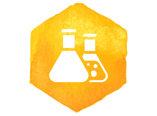Explore Brookhaven Lab Family Fun Day