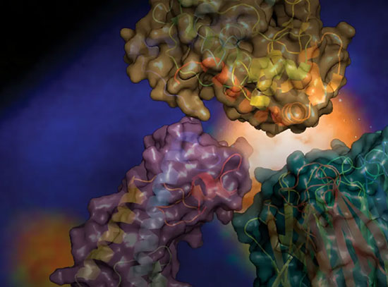 A 3D rendering of a protein complex with multicolored structures against a dark blue background, dep