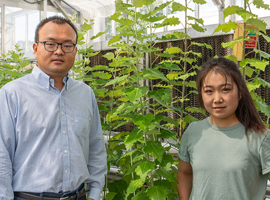Meng Xie and Yuqiu Dai