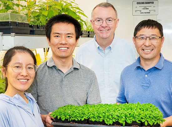 Lijun Qiao, Xianhai Zhao, John Shanklin, and Chang-Jun Liu