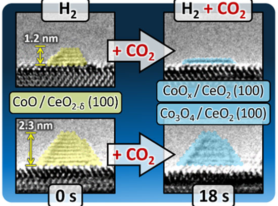 E-TEM images showing the effect of CO<sub>2</sub> on<br /> CoO NPs dispersed on CeO<sub>2</sub> at 2