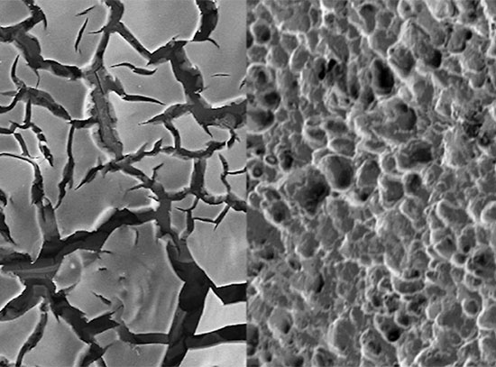 Scanning electron microscopy images