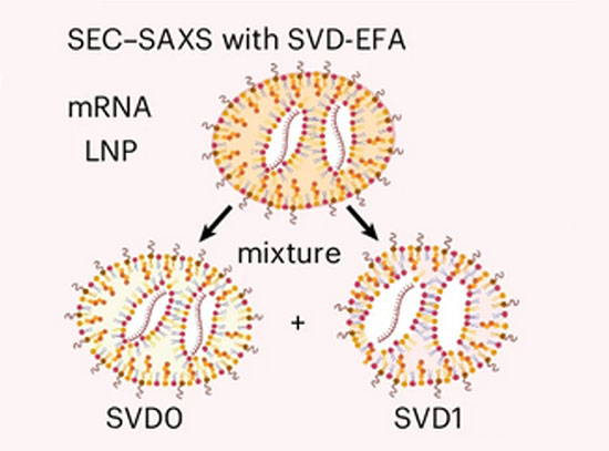 Comparison of static SAXS and SEC-SAXS data for lipid nanoparticles, showing differences between mRN