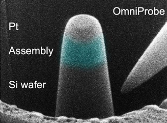 focused ion beam and X-ray tomography