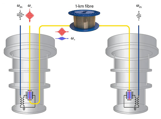 Illustration of a one-kilometer-long photonic link connecting superconducting circuits in two diluti