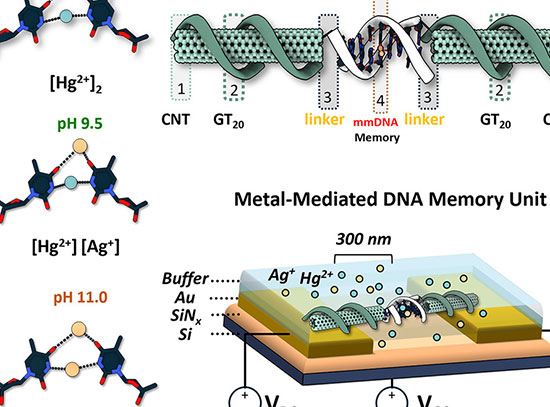 Illustration of the pH-mediated metal switching on the nanofabricated platform.