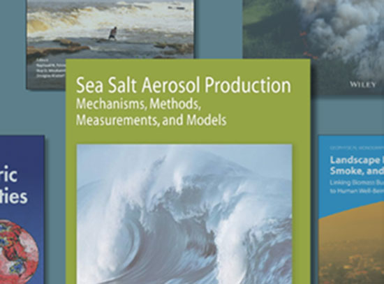 Sea Salt Aerosol Production: Mechanisms, Methods, Measurements, and Models
