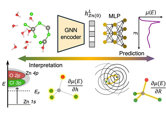 Top: GNN model predicts XAS from atomic structures. Bottom: Gradient-based ligand and bond-length a