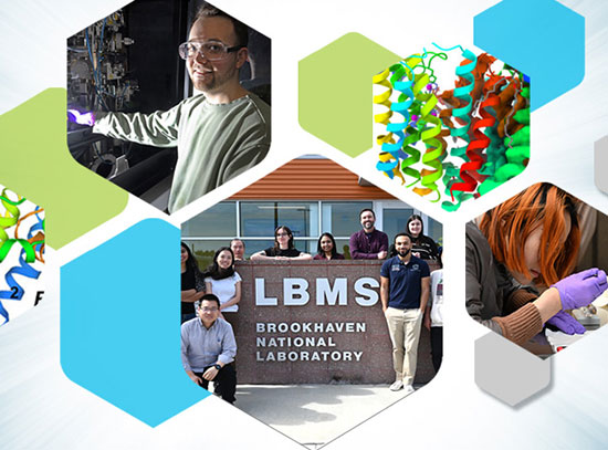 LBMS images