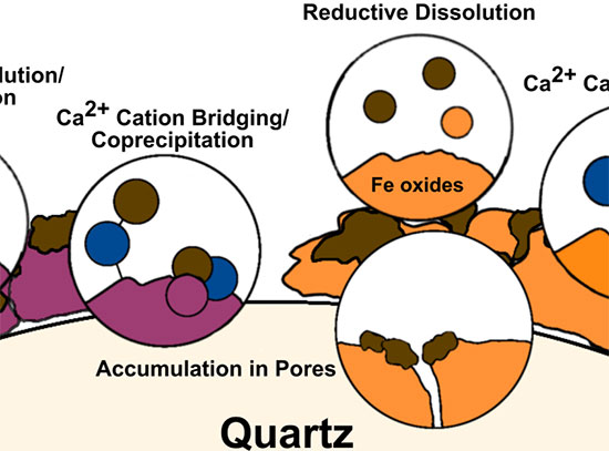 uantity of organic matter that associated with manganese (Mn) and iron (Fe) oxides buried in acidic