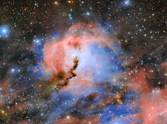 Seagull Nebula