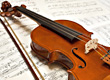 violin