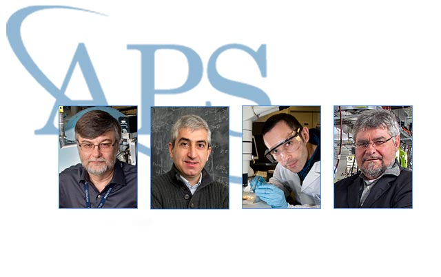 2015 APS Fellows