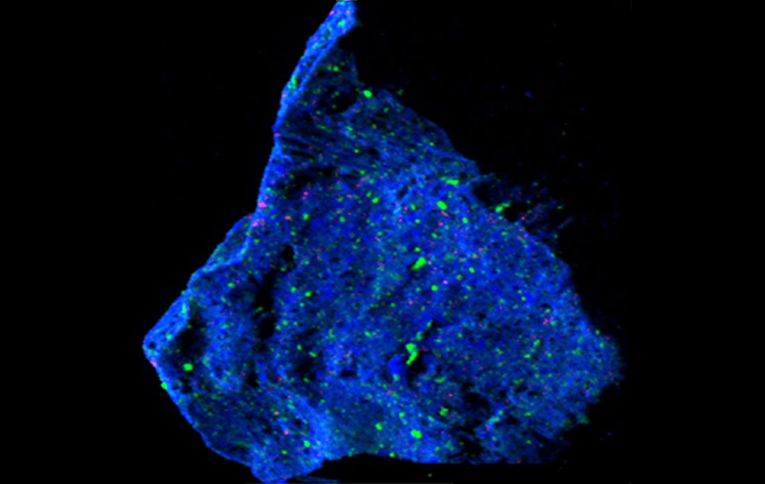 Asteroid sample grain